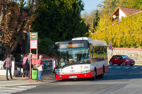 Autobusy DPP – midibus Solaris