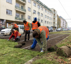 Pokládka travních koberců v Bělohorské ulici.