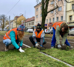 Pokládka travních koberců v Bělohorské ulici.