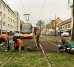 Pokládka travních koberců v Bělohorské ulici.