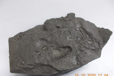201015_archeologický nález