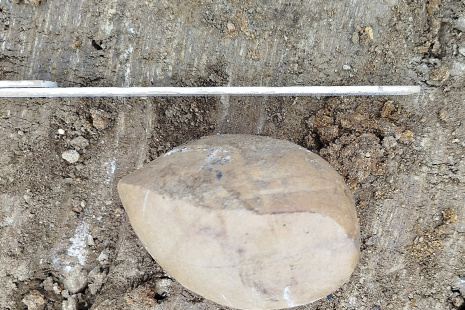 12 2025_křemencový hranec, geologický podklad nejstarší sídelní aktivity závěru 12. a&nbsp;průběhu 13. století Foto Jan Zavřel