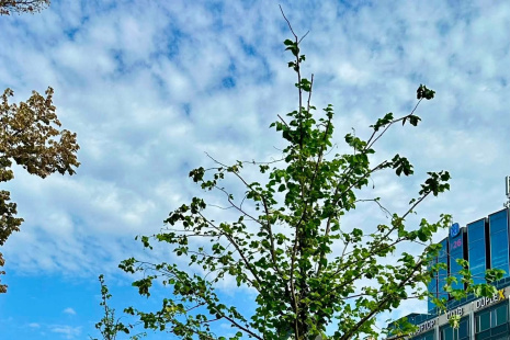 FOTO: DPP – Daniel Šabík